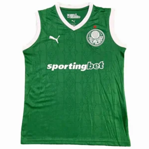 SE Palmeiras Camiseta 2025 2026 Casa Verde - Camiseta Kidsuper X Se Palmeiras Graphic Masculina | 7camisetas