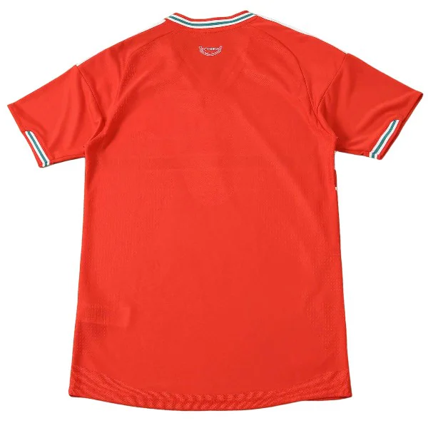 Gales Camiseta Edición Jugadores 2026 Casa Roja - Camiseta Gales Rugby | 7camisetas