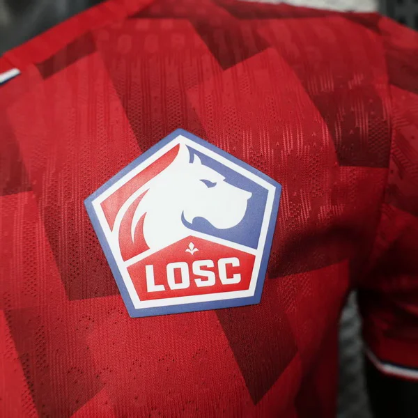 Lille OSC Camiseta Edición Jugadores 2025 2026 Casa Roja | 7camisetas