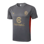AC Milan Chándal 2024 2025 Gris - Chándal AC Milan | 7camisetas