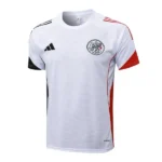Ajax Chándal 2025 2026 Blanco - Chándal Ajax | 7camisetas