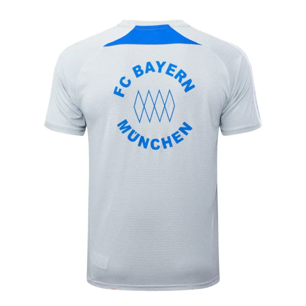 Bayern Múnich Chándal 2025 2026 Gris - Tuta Bayern Múnich | 7camisetas