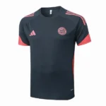 Bayern Múnich Chándal 2025 2026 Gris - Chándal Bayern Múnich | 7camisetas
