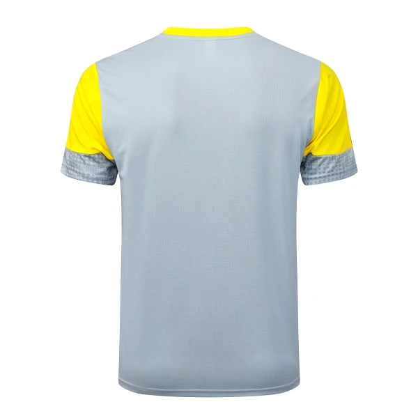 Borussia Dortmund Chándal 2025 2026 Gris - Chándal Borussia Dortmund | 7camisetas