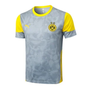 Borussia Dortmund Chándal 2025 2026 Gris - Chándal Borussia Dortmund | 7camisetas