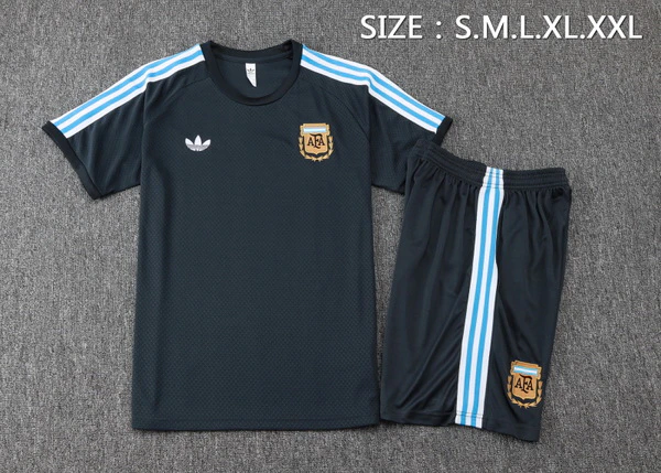 Argentina Conjunto 2026 Gris - Argentina Barata | 7camisetas