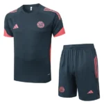 Bayern Múnich Conjunto 2025 2026 Gris - Bayern Múnich Barata | 7camisetas
