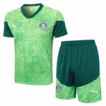 SE Palmeiras Conjunto 2025 2026 Verde - Tuta SE Palmeiras | 7camisetas
