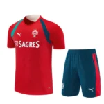 Portugal Conjunto 2026 Rojo - Portugal Barata | 7camisetas