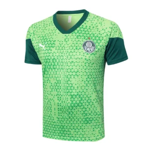 SE Palmeiras Chándal 2025 2026 Verde - Tuta SE Palmeiras | 7camisetas