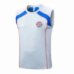 Bayern Múnich Chándal 2025 2026 Gris - Tuta Bayern Múnich | 7camisetas