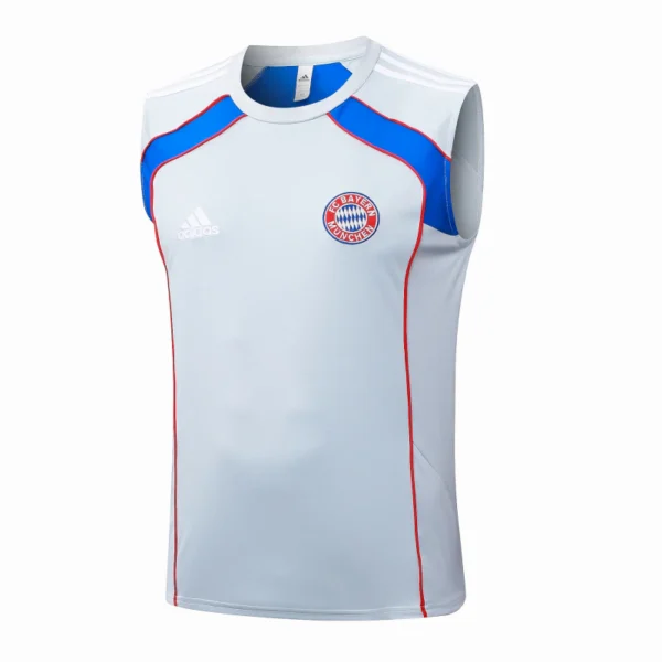 Entrenamiento Sin Mangas Bayern Múnich 2025 2026 Gris Azul Bayern Múnich Chándal 2025 2026 Gris - Tuta Bayern Múnich | 7camisetas