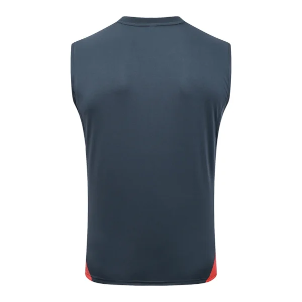 Bayern Múnich Chándal 2025 2026 Gris - Tuta Bayern Múnich | 7camisetas