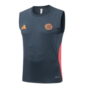 Bayern Múnich Chándal 2025 2026 Gris - Tuta Bayern Múnich | 7camisetas