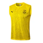 Borussia Dortmund Chándal 2024 2025 Amarillo - Tuta Borussia Dortmund | 7camisetas