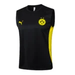 Borussia Dortmund Chándal 2024 2025 Negro - Tuta Borussia Dortmund | 7camisetas
