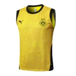 Borussia Dortmund Chándal 2025 2026 Amarillo - Chándal Borussia Dortmund | 7camisetas