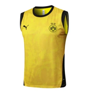 Borussia Dortmund Chándal 2025 2026 Amarillo - Chándal Borussia Dortmund | 7camisetas