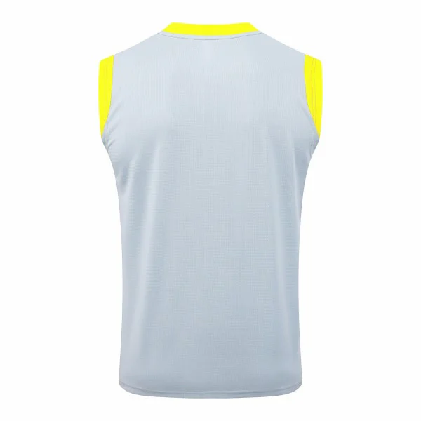 Borussia Dortmund Chándal 2025 2026 Gris - Chándal Borussia Dortmund | 7camisetas