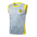 Borussia Dortmund Chándal 2025 2026 Gris - Chándal Borussia Dortmund | 7camisetas