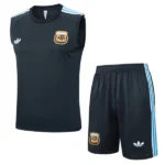 Argentina Conjunto 2026 Gris - Argentina Barata | 7camisetas