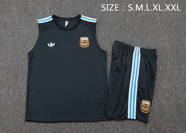 Argentina Conjunto 2026 Gris - Argentina Barata | 7camisetas