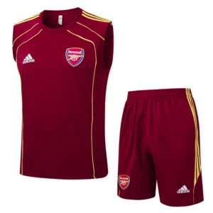 Arsenal Conjunto 2025 2026 - Arsenal Barata | 7camisetas