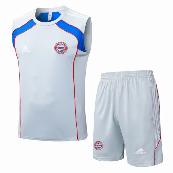 Entrenamiento Sin Mangas Conjunto Completo Bayern Múnich 2025 2026 Gris Azul Bayern Múnich Conjunto 2025 2026 Gris - Tuta Bayern Múnich | 7camisetas