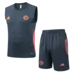 Bayern Múnich Conjunto 2025 2026 Gris - Tuta Bayern Múnich | 7camisetas