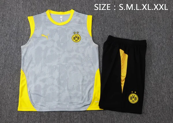 Borussia Dortmund Conjunto 2025 2026 Gris - Borussia Dortmund Barata | 7camisetas