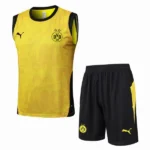 Borussia Dortmund Conjunto 2025 2026 Amarillo - Borussia Dortmund Barata | 7camisetas