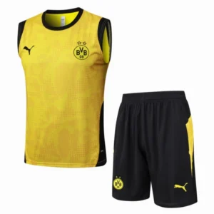 Borussia Dortmund Conjunto 2025 2026 Amarillo - Borussia Dortmund Barata | 7camisetas