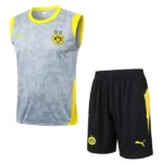 Borussia Dortmund Conjunto 2025 2026 Gris - Borussia Dortmund Barata | 7camisetas