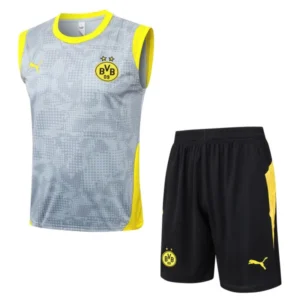 Borussia Dortmund Conjunto 2025 2026 Gris - Borussia Dortmund Barata | 7camisetas