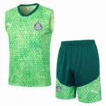 SE Palmeiras Conjunto 2025 2026 Verde - Tuta SE Palmeiras | 7camisetas