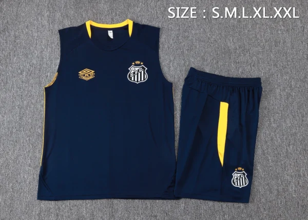 Santos Conjunto 2025 2026 Azul - Santos Barata | 7camisetas