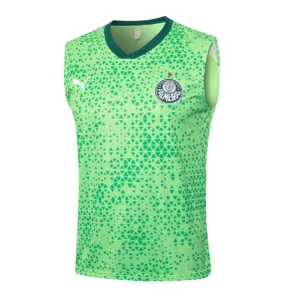 SE Palmeiras Chándal 2025 2026 Verde - Tuta SE Palmeiras | 7camisetas