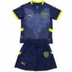 Fenerbahce SK Conjunto 2025 2026 Especial Azul - Fenerbahçe Sk 2026 | 7camisetas
