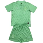Everton Niños Conjunto 2025 2026 Portero Verde - Everton Niños Barata | 7camisetas