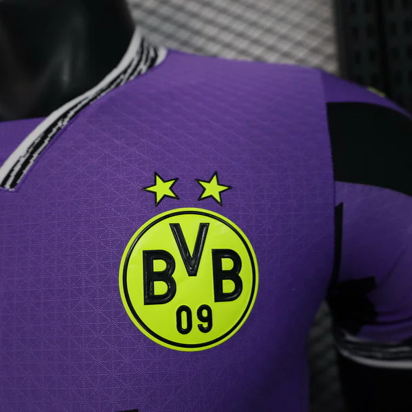 Borussia Dortmund Camiseta Edición Jugadores 2025 2026 Portero Púrpura - Camiseta Bundesliga Borussia Dortmund | 7camisetas