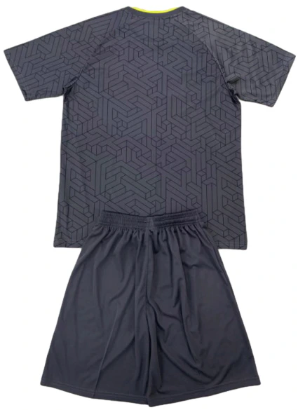 Everton Conjunto 2024 2025 Segunda Gris - Everton Barata | 7camisetas