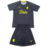 Everton Conjunto 2024 2025 Segunda Gris - Everton Barata | 7camisetas