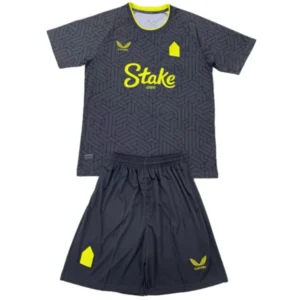 Everton Conjunto 2024 2025 Segunda Gris - Everton Barata | 7camisetas