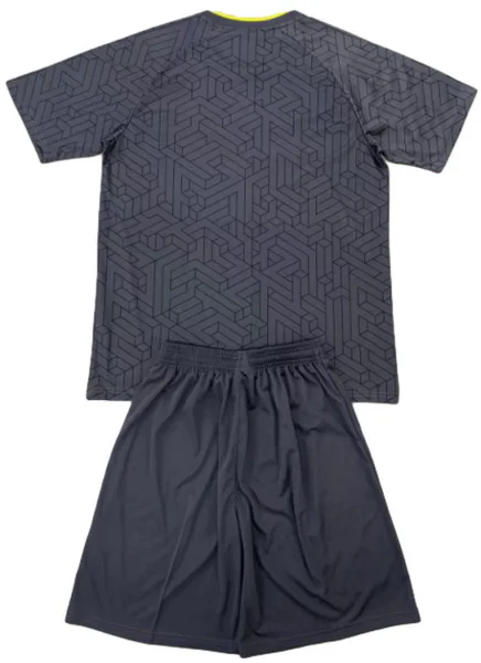 Everton Niños Conjunto 2024 2025 Segunda Gris - Everton Niños Barata | 7camisetas