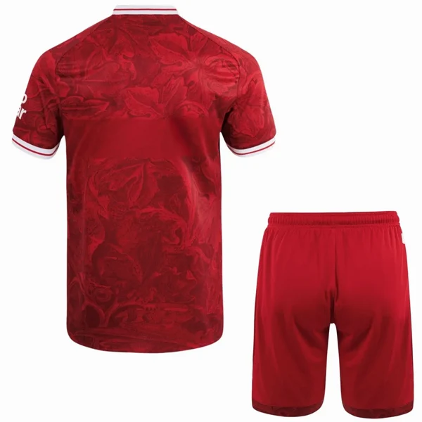 VfB Stuttgart Niños Conjunto 2025 2026 Segunda Rojo - VfB Stuttgart Niños Barata | 7camisetas