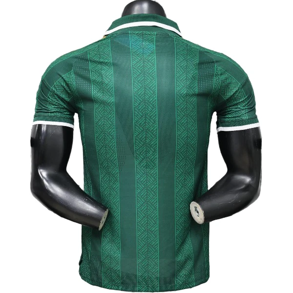 Sudafrica Camiseta Edición Jugadores 2026 Segunda Verde - Camiseta Sudafrica 2026 | 7camisetas