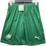 SE Palmeiras Pantalones 2025 2026 Segunda Verde - Pantalón SE Palmeiras | 7camisetas