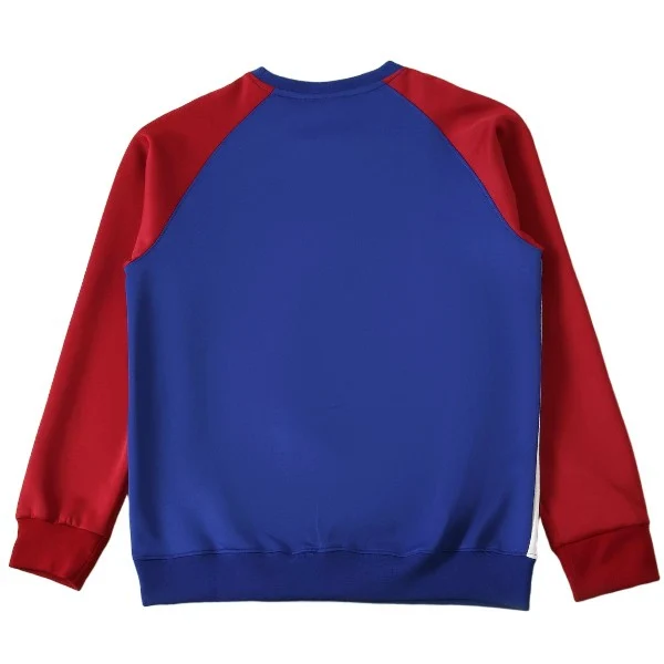 FC Barcelona Sudadera 2025 2026 Roja - FC Barcelona Barata | 7camisetas