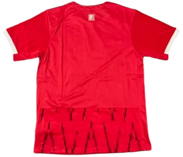SC Freiburg Camiseta 2024 2025 Casa Roja - Camiseta Sc Freiburg | 7camisetas