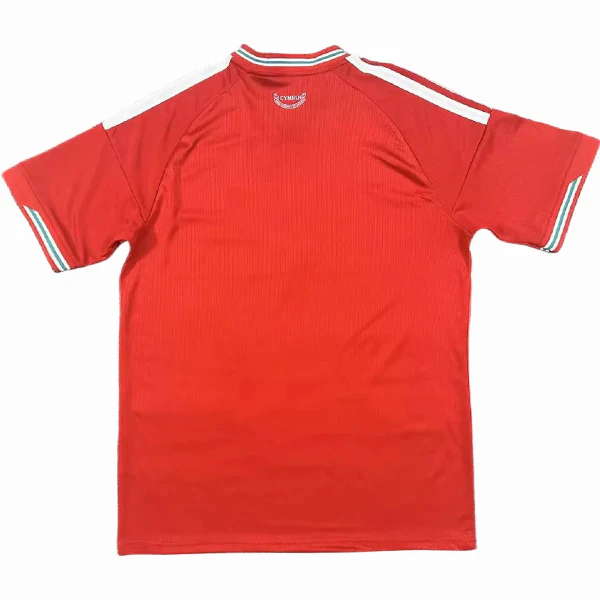 Gales Camiseta 2026 Casa Roja - Camiseta Gales Rugby | 7camisetas